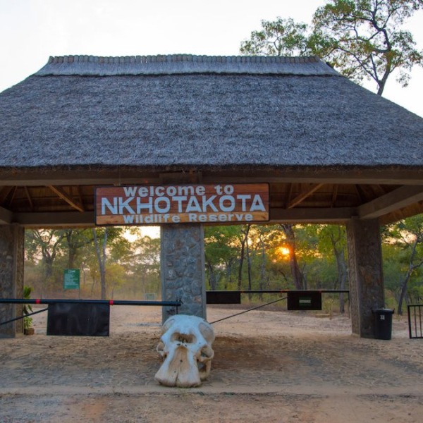 Nkhotakota Game Reserve