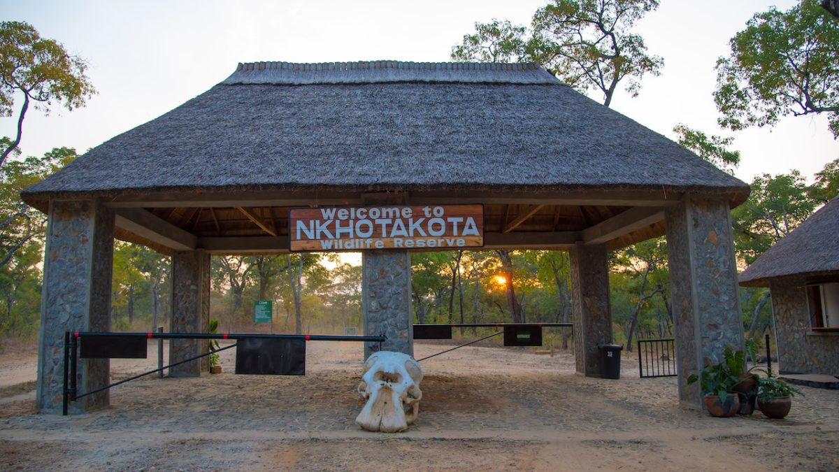 Nkhotakota Game Reserve